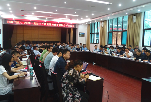 公司组织召开技术质量管理典型案例分析交流会