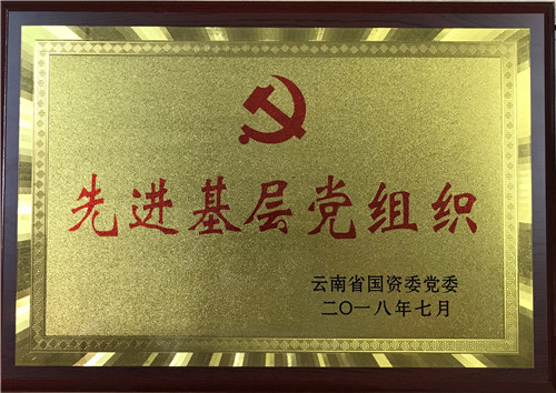 公司获省国资委党委、集团党委表彰