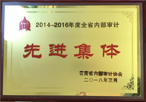 公司审计部和公司职工获省内部审计协会表彰