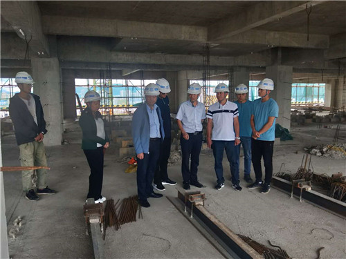 陈定华调研楚雄本宽大厦建设项目