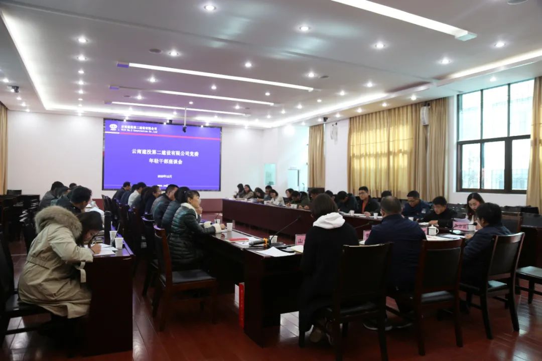 【公司要闻】只有创造价值，青春才是资本——公司党委召开年轻干部座谈会