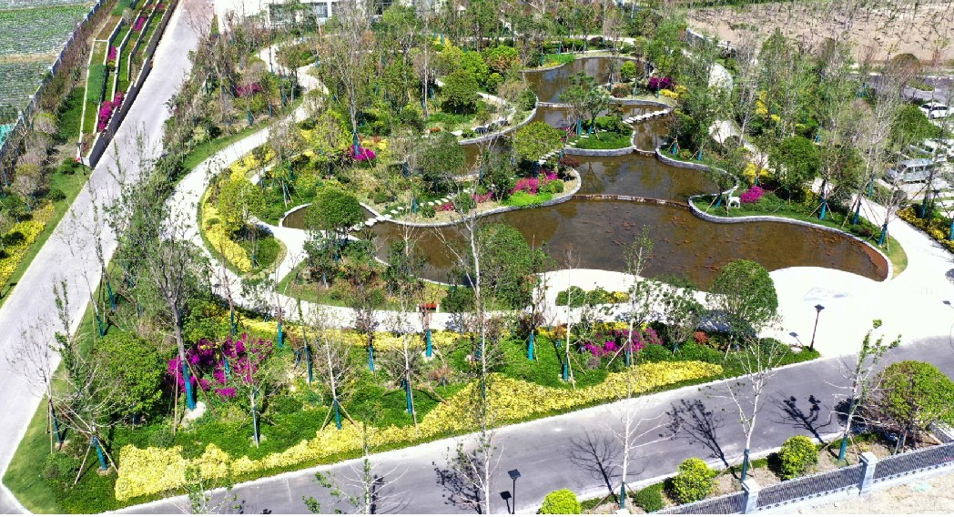 大理湿地公园项目