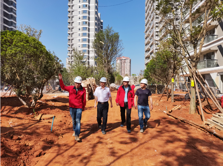 【调研检查】陈定华调研晋宁区项目