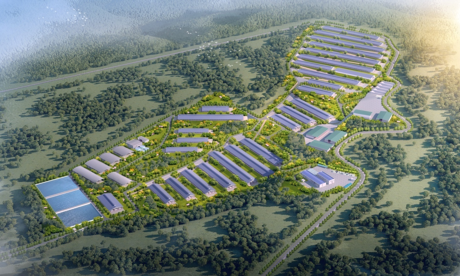 【喜报】1.29亿！第十六直管部成功中标西盟县万头肉牛养殖示范场建设（EPC）项目